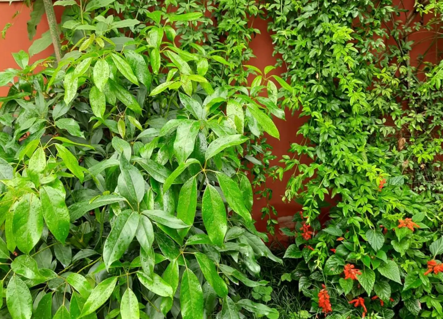 Best Hostel Katmandou
